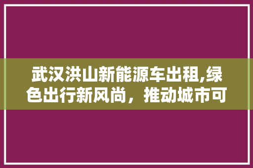 武汉洪山新能源车出租,绿色出行新风尚，推动城市可持续发展