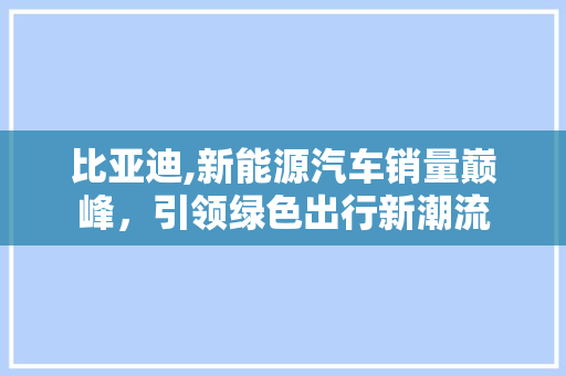 比亚迪,新能源汽车销量巅峰，引领绿色出行新潮流