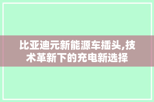 比亚迪元新能源车插头,技术革新下的充电新选择