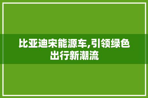 比亚迪宋能源车,引领绿色出行新潮流