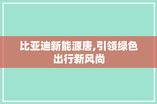 比亚迪新能源唐,引领绿色出行新风尚