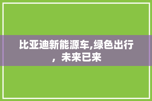 比亚迪新能源车,绿色出行，未来已来