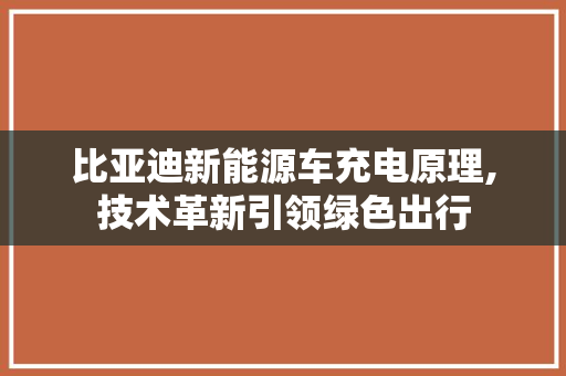 比亚迪新能源车充电原理,技术革新引领绿色出行