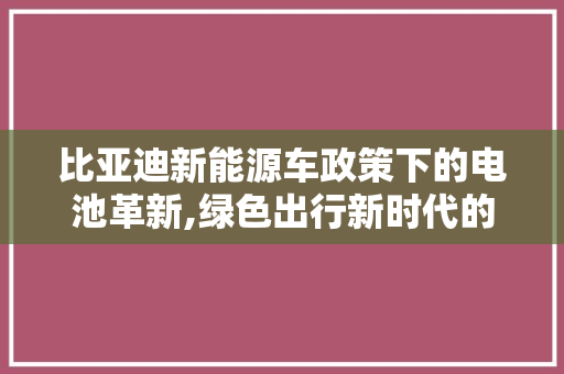 比亚迪新能源车政策下的电池革新,绿色出行新时代的引擎