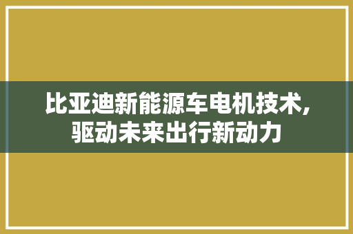 比亚迪新能源车电机技术,驱动未来出行新动力