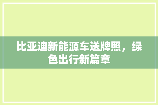 比亚迪新能源车送牌照，绿色出行新篇章