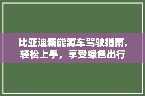 比亚迪新能源车驾驶指南,轻松上手，享受绿色出行