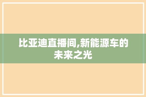比亚迪直播间,新能源车的未来之光