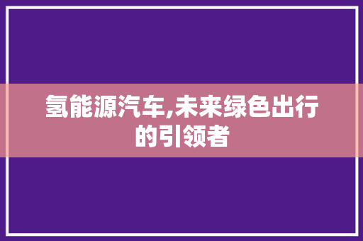 氢能源汽车,未来绿色出行的引领者