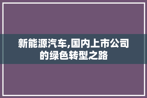 新能源汽车,国内上市公司的绿色转型之路