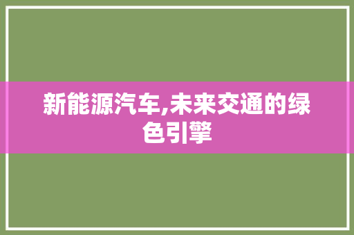 新能源汽车,未来交通的绿色引擎