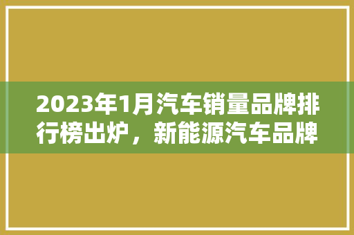 2023年1月汽车销量品牌排行榜出炉，新能源汽车品牌强势崛起