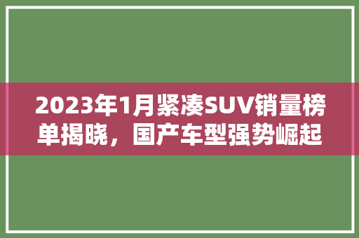 2023年1月紧凑SUV销量榜单揭晓，国产车型强势崛起