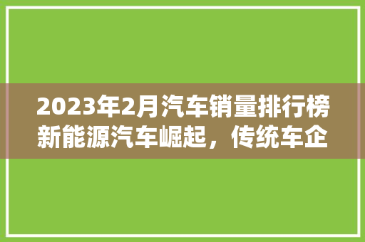 2023年2月汽车销量排行榜新能源汽车崛起，传统车企蓄力转型