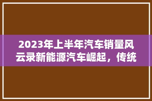 2023年上半年汽车销量风云录新能源汽车崛起，传统车企转型挑战