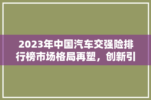 2023年中国汽车交强险排行榜市场格局再塑，创新引领未来