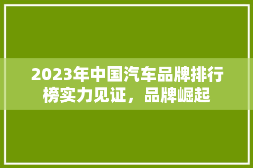 2023年中国汽车品牌排行榜实力见证，品牌崛起
