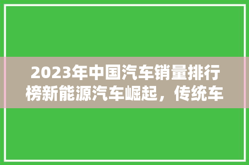 2023年中国汽车销量排行榜新能源汽车崛起，传统车企转型挑战