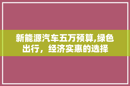 新能源汽车五万预算,绿色出行，经济实惠的选择
