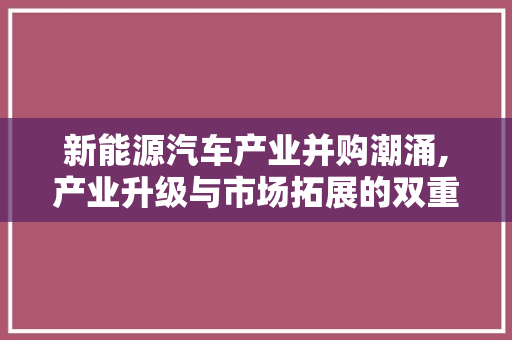 新能源汽车产业并购潮涌,产业升级与市场拓展的双重驱动