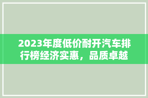2023年度低价耐开汽车排行榜经济实惠，品质卓越