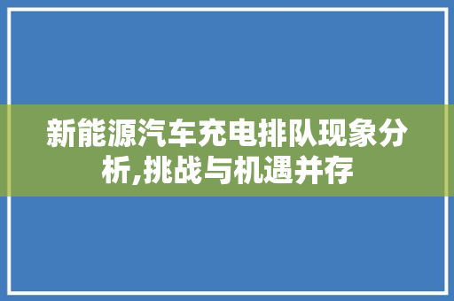 新能源汽车充电排队现象分析,挑战与机遇并存