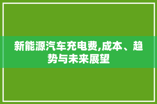 新能源汽车充电费,成本、趋势与未来展望