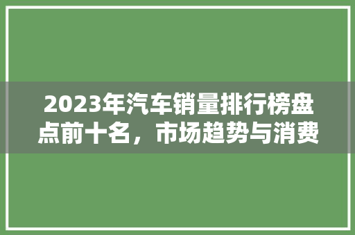 2023年汽车销量排行榜盘点前十名，市场趋势与消费者偏好
