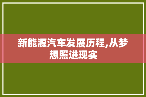 新能源汽车发展历程,从梦想照进现实