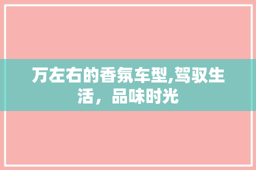 万左右的香氛车型,驾驭生活，品味时光