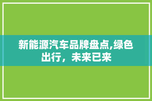 新能源汽车品牌盘点,绿色出行，未来已来