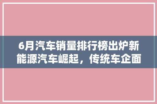 6月汽车销量排行榜出炉新能源汽车崛起，传统车企面临挑战