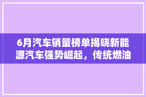 6月汽车销量榜单揭晓新能源汽车强势崛起，传统燃油车面临挑战