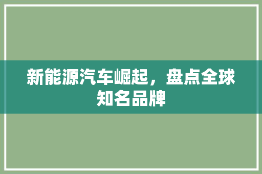 新能源汽车崛起，盘点全球知名品牌