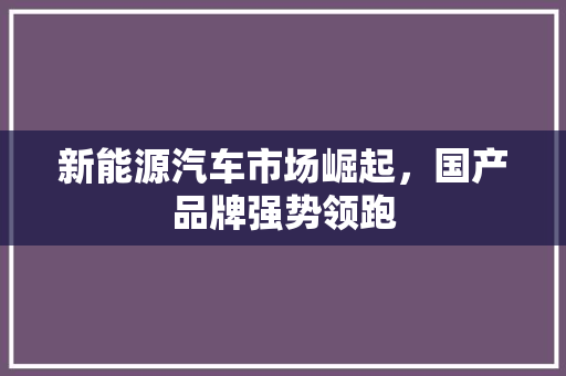 新能源汽车市场崛起，国产品牌强势领跑