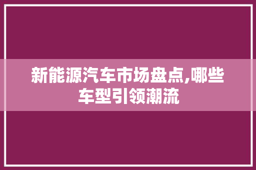 新能源汽车市场盘点,哪些车型引领潮流