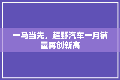 一马当先，超野汽车一月销量再创新高