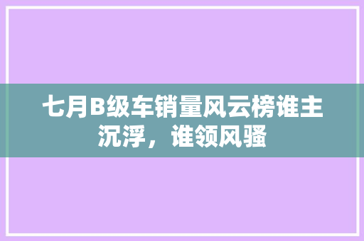 七月B级车销量风云榜谁主沉浮，谁领风骚