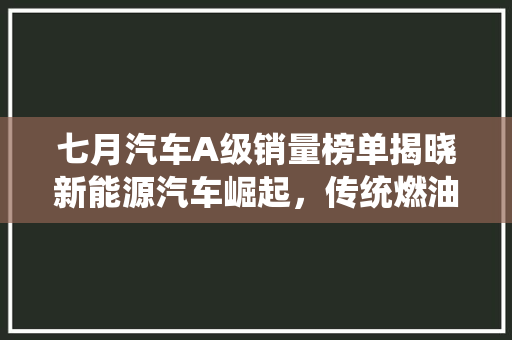 七月汽车A级销量榜单揭晓新能源汽车崛起，传统燃油车面临挑战