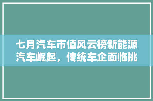 七月汽车市值风云榜新能源汽车崛起，传统车企面临挑战