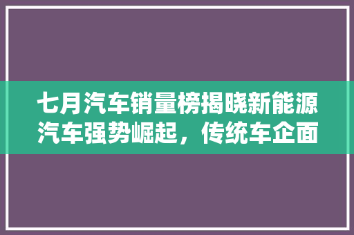 七月汽车销量榜揭晓新能源汽车强势崛起，传统车企面临挑战