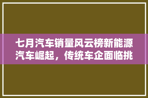 七月汽车销量风云榜新能源汽车崛起，传统车企面临挑战