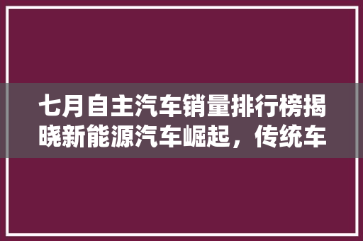 七月自主汽车销量排行榜揭晓新能源汽车崛起，传统车型稳扎稳打