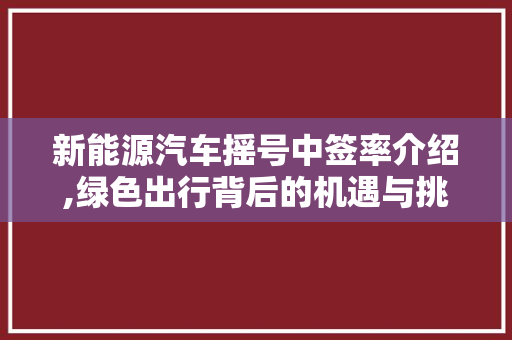 新能源汽车摇号中签率介绍,绿色出行背后的机遇与挑战