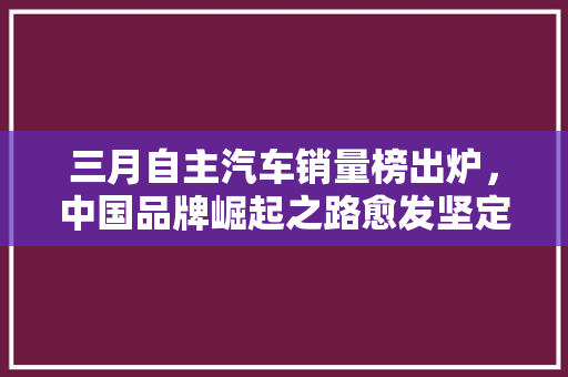 三月自主汽车销量榜出炉，中国品牌崛起之路愈发坚定