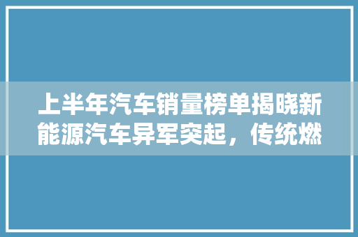 上半年汽车销量榜单揭晓新能源汽车异军突起，传统燃油车面临挑战
