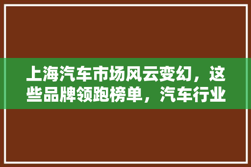 上海汽车市场风云变幻，这些品牌领跑榜单，汽车行业新趋势