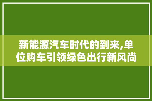 新能源汽车时代的到来,单位购车引领绿色出行新风尚