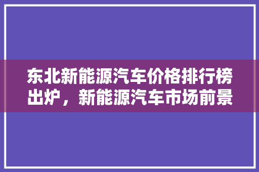 东北新能源汽车价格排行榜出炉，新能源汽车市场前景可期