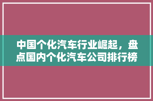 中国个化汽车行业崛起，盘点国内个化汽车公司排行榜